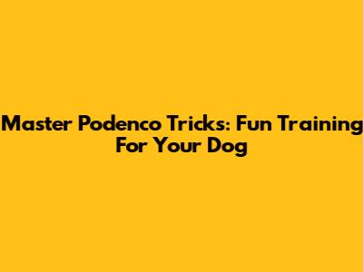 Master Podenco Tricks: Fun Training For Your Dog