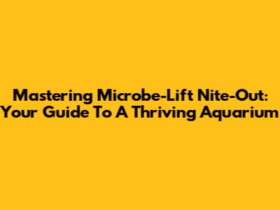 Mastering Microbe-Lift Nite-Out: Your Guide To A Thriving Aquarium