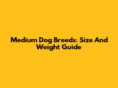 Medium Dog Breeds: Size And Weight Guide