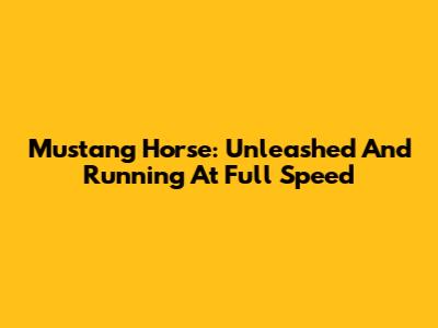 Mustang Horse: Unleashed And Running At Full Speed