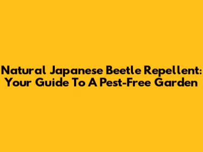 Natural Japanese Beetle Repellent: Your Guide To A Pest-Free Garden