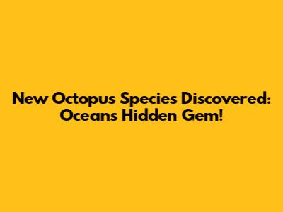 New Octopus Species Discovered: Ocean's Hidden Gem!