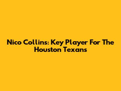 Nico Collins: Key Player For The Houston Texans