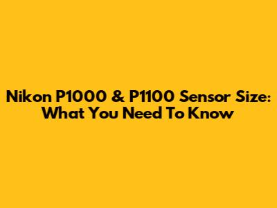 Nikon P1000 & P1100 Sensor Size: What You Need To Know
