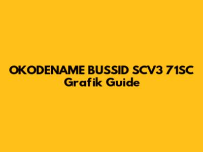 OKODENAME BUSSID SCV3 71SC Grafik Guide