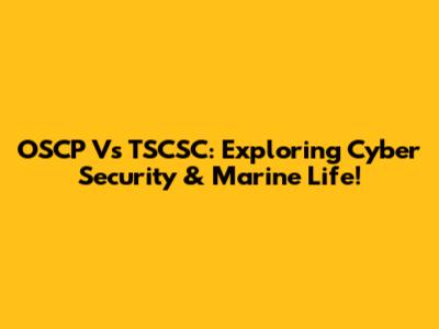 OSCP Vs TSCSC: Exploring Cyber Security & Marine Life!