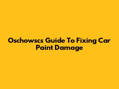 Oschowsc's Guide To Fixing Car Paint Damage