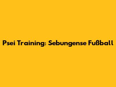 P'sei Training: Sebungense Fußball