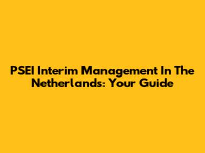 PSEI Interim Management In The Netherlands: Your Guide