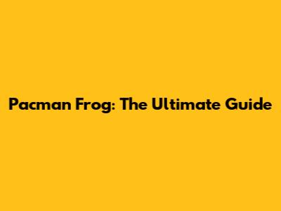Pacman Frog: The Ultimate Guide