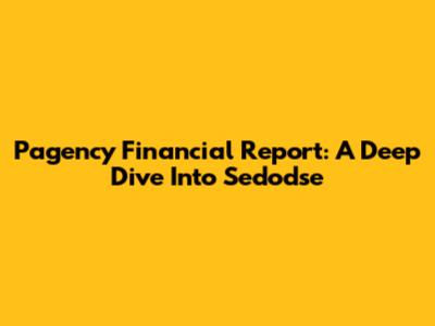 Pagency Financial Report: A Deep Dive Into Sedodse
