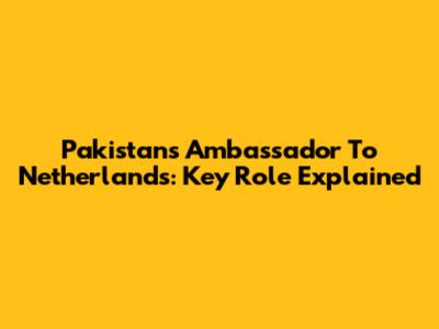 Pakistan's Ambassador To Netherlands: Key Role Explained