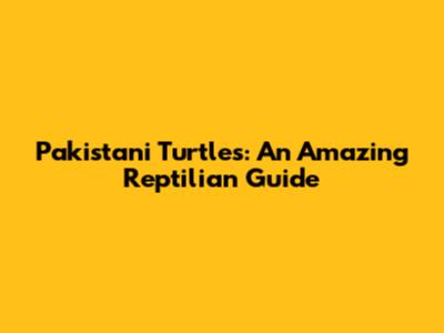 Pakistani Turtles: An Amazing Reptilian Guide
