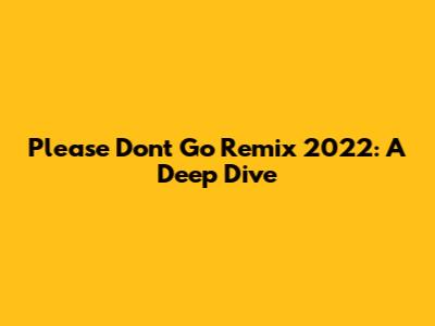 Please Don't Go Remix 2022: A Deep Dive