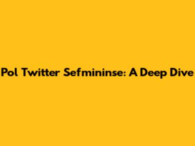 Pol Twitter Sefmininse: A Deep Dive