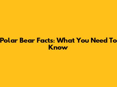 Polar Bear Facts: What You Need To Know