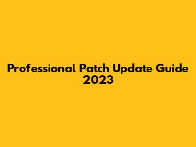 Professional Patch Update Guide 2023