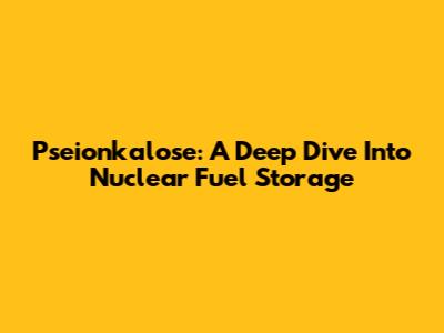 Pseionkalose: A Deep Dive Into Nuclear Fuel Storage