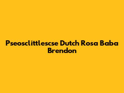 Pseosclittlescse Dutch Rosa Baba Brendon