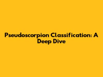 Pseudoscorpion Classification: A Deep Dive