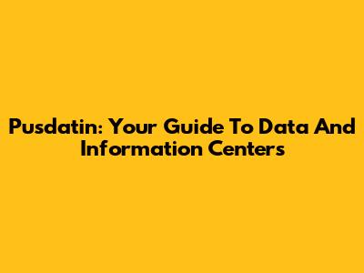 Pusdatin: Your Guide To Data And Information Centers