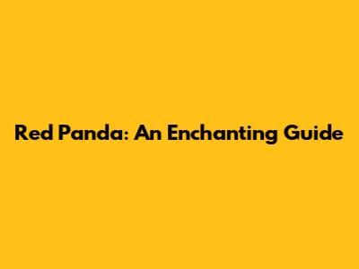 Red Panda: An Enchanting Guide