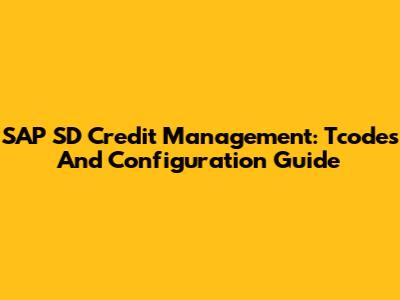 SAP SD Credit Management: Tcodes And Configuration Guide