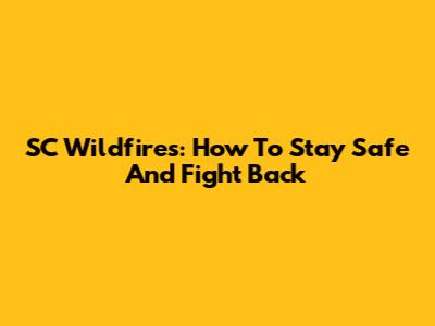 SC Wildfires: How To Stay Safe And Fight Back