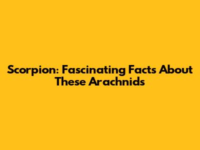 Scorpion: Fascinating Facts About These Arachnids