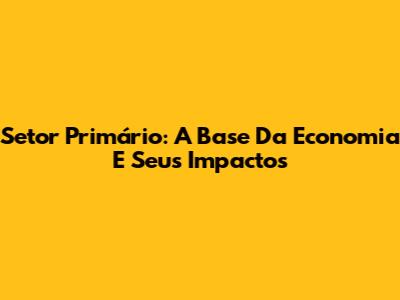 Setor Primário: A Base Da Economia E Seus Impactos