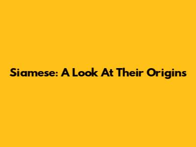 Siamese: A Look At Their Origins