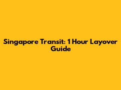 Singapore Transit: 1 Hour Layover Guide