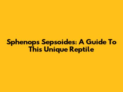 Sphenops Sepsoides: A Guide To This Unique Reptile