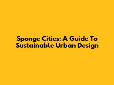 Sponge Cities: A Guide To Sustainable Urban Design