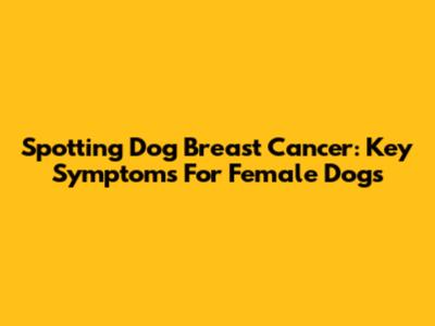 Spotting Dog Breast Cancer: Key Symptoms For Female Dogs