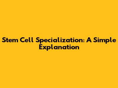 Stem Cell Specialization: A Simple Explanation