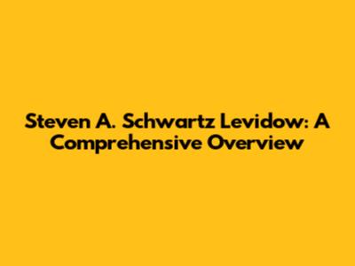 Steven A. Schwartz Levidow: A Comprehensive Overview