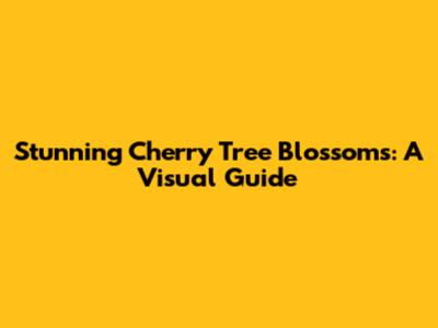 Stunning Cherry Tree Blossoms: A Visual Guide