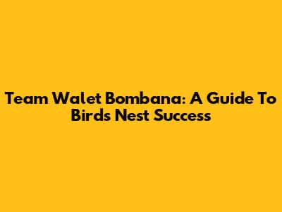 Team Walet Bombana: A Guide To Bird's Nest Success