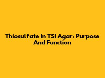 Thiosulfate In TSI Agar: Purpose And Function