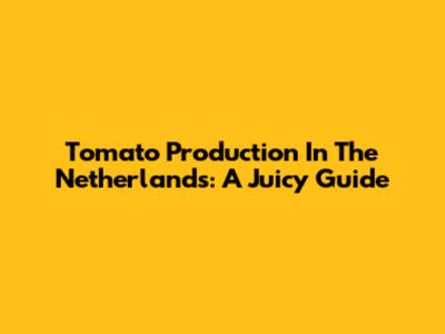 Tomato Production In The Netherlands: A Juicy Guide