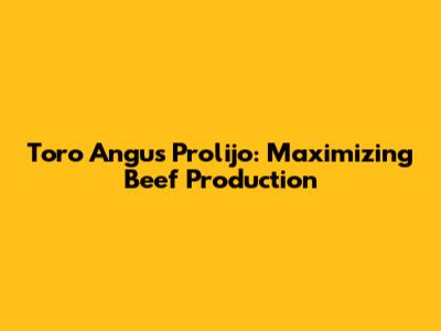 Toro Angus Prolijo: Maximizing Beef Production