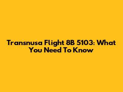 Transnusa Flight 8B 5103: What You Need To Know