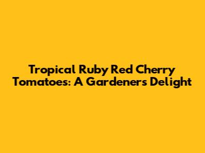 Tropical Ruby Red Cherry Tomatoes: A Gardener's Delight