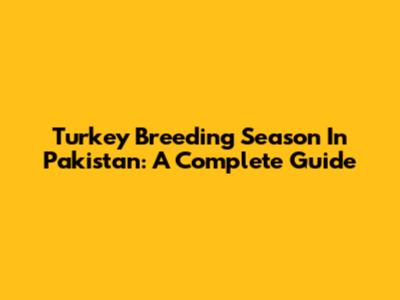 Turkey Breeding Season In Pakistan: A Complete Guide