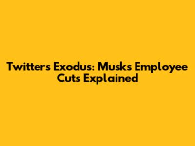 Twitter's Exodus: Musk's Employee Cuts Explained
