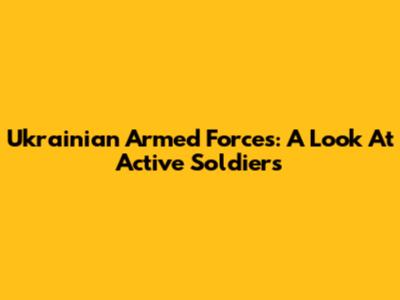 Ukrainian Armed Forces: A Look At Active Soldiers