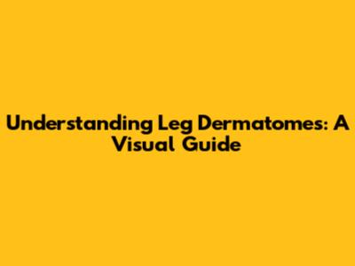 Understanding Leg Dermatomes: A Visual Guide