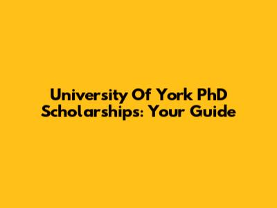 University Of York PhD Scholarships: Your Guide