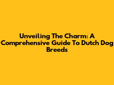Unveiling The Charm: A Comprehensive Guide To Dutch Dog Breeds